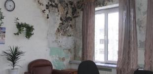 Плесень атакует квартиры украинцев: как справиться с проблемой