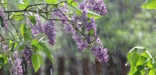 В пятницу, 14 мая, в некоторых регионах ожидается до +28°, местами будут идти дожди