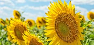 В Україні різко зіпсується погода: прогноз на початок тижня