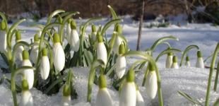 Прогноз погоды на 1-3 марта: каким будет начало весны в Украине