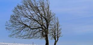 Сильный ветер и осадки: прогноз погоды в Украине на вторник, 26 января