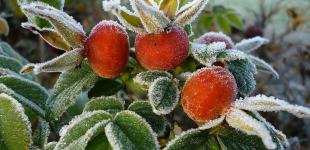 Похолодание, грозы и ночные заморозки: погода до конца недели