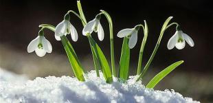 Синоптики прогнозують 