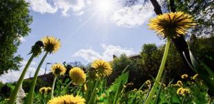 Грози на сході та до +37 на заході: прогноз погоди на 23 липня