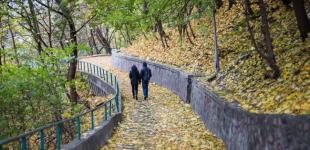 Хмарно, але майже без дощів: прогноз погоди на 5 листопада