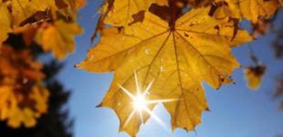 В Украине будет солнечно и тепло, 