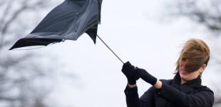В Украине сильный ветер – до 20 метров в секунду