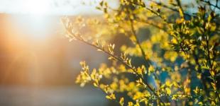 Прогноз погоды в Украине: синоптик рассказала, когда потеплеет до +20