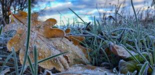 Украинцев предупреждают о заморозках