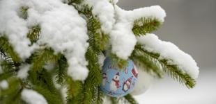 Точно не січень. Синоптик дала прогноз на перший день нового року