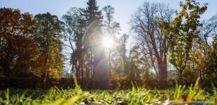 Бабине літо не поспішає. Синоптики дали прогноз погоди на робочий тиждень