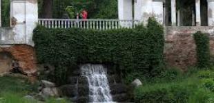 Редкие растения и невероятные пейзажи: почему стоит посетить парк «Александрия»