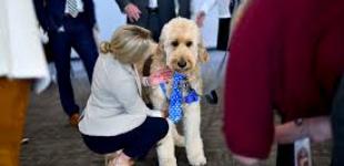 В Конгресс США привели хвостатых «терапевтов»