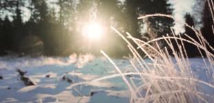 Туман, сніг та ожеледь: синоптики розповіли про погоду на 10 січня