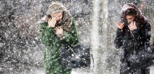 Снег до 15 см на следующей неделе - синоптики