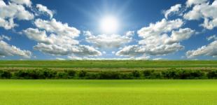 Участникам АТО раздали 12,37 тыс. га земли