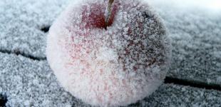 Мороз до 19 градусов и снег: синоптик рассказала, какие регионы Украины накроет мощная непогода