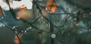 Без осадков, но до -7 градусов. Украину накроет антициклон