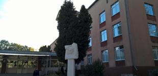 Целый класс одного из львовских лицеев просится на дистанционное обучение