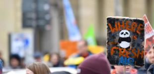 В Мюнхене заявили о грозящем климатическом кризисе 