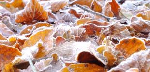 Похолодание в Украине: синоптики сказали, где подморозит больше всего