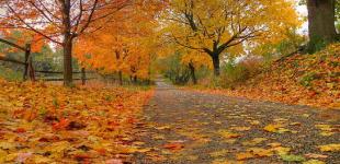 Чи буде ще тепло? Синоптик дала прогноз погоди в Україні на найближчі дні