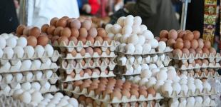 Яйца продают уже по 40 гривен за десяток. Чего ждать от цен?