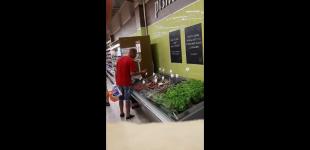В Днепре посетитель супермаркета дегустировал соленья прямо с прилавка