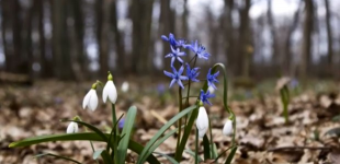 Нічні морози відступлять: синоптик розповіла, коли в Україну прийде тепло