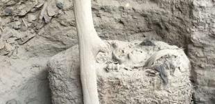 В Перу нашли 1000-летний «кокон» с очень хорошо сохранившейся мумией