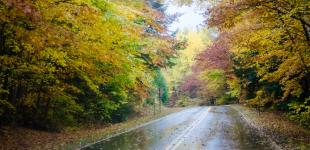 В Украину пришла метеорологическая осень