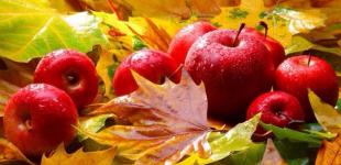 Синоптик рассказала, где в Украине похолодает и пройдут дожди