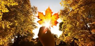 В Украине распогодилось: надолго ли задержится тепло