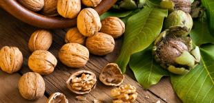 Украина идет на рекорд по экспорту ягод и фруктов