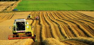 Сорняки, долги и антисанитария: каким оставил агрохолдинг Головач