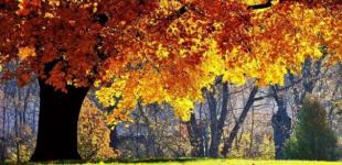 Украину ждет еще два 