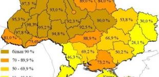 «Ми занадто просто розкидаємося людьми». Знову про мовне питання