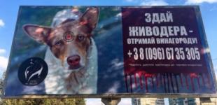 40 тысяч гривен за информацию: в Днепре ищут жестокого живодера