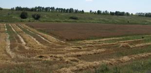 Депутаты дискутируют о продаже земли