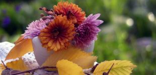 Дожди и резкие перепады температур: погода снова приготовила атмосферные качели