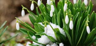 В Украине весна будет ранней, настоящее тепло придет в феврале: озвучен детальный прогноз