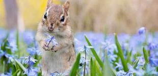 Настоящая жара придет в Украину в марте: синоптики предупреждают о погодных аномалиях