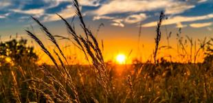 Погода в Украине: синоптики рассказали, каким будет июнь 2021 года