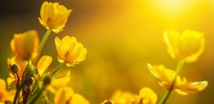 Украину ждут 