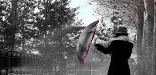 В Украину придут обильные осадки: прогноз погоды на пятницу, 5 марта