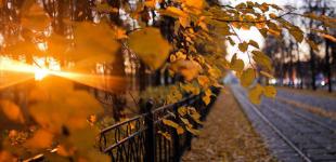 В Киеве зафиксировали первый температурный рекорд ноября