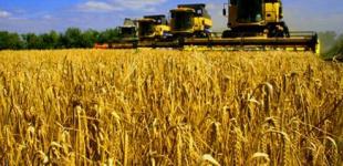 Аграрный сектор в Украине зарабатывает каждую пятую гривну в бюджет страны - Гройсман