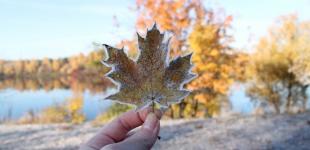 В Украину идет похолодание, есть вероятность снега с дождем: синоптики назвали дату