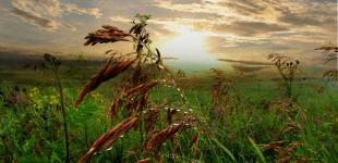 Украинцам обещают тепло, в Карпатах - дожди и грозы