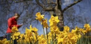 Погода в Украине на 5 апреля: Переменная облачность и тепло